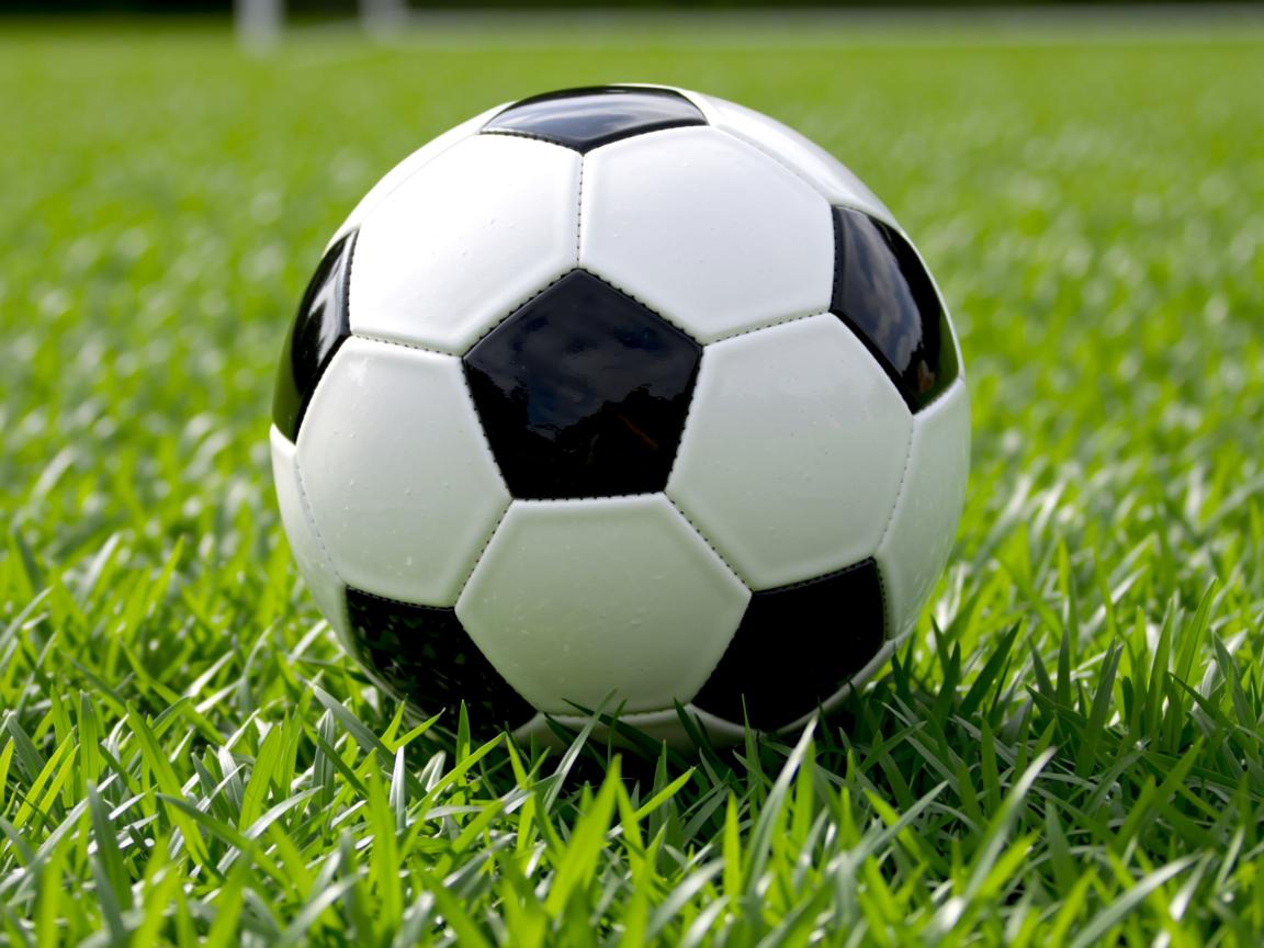 开云体育官网登入-克利夫斯森道奇遭遇失利，形势似乎略显不容乐观