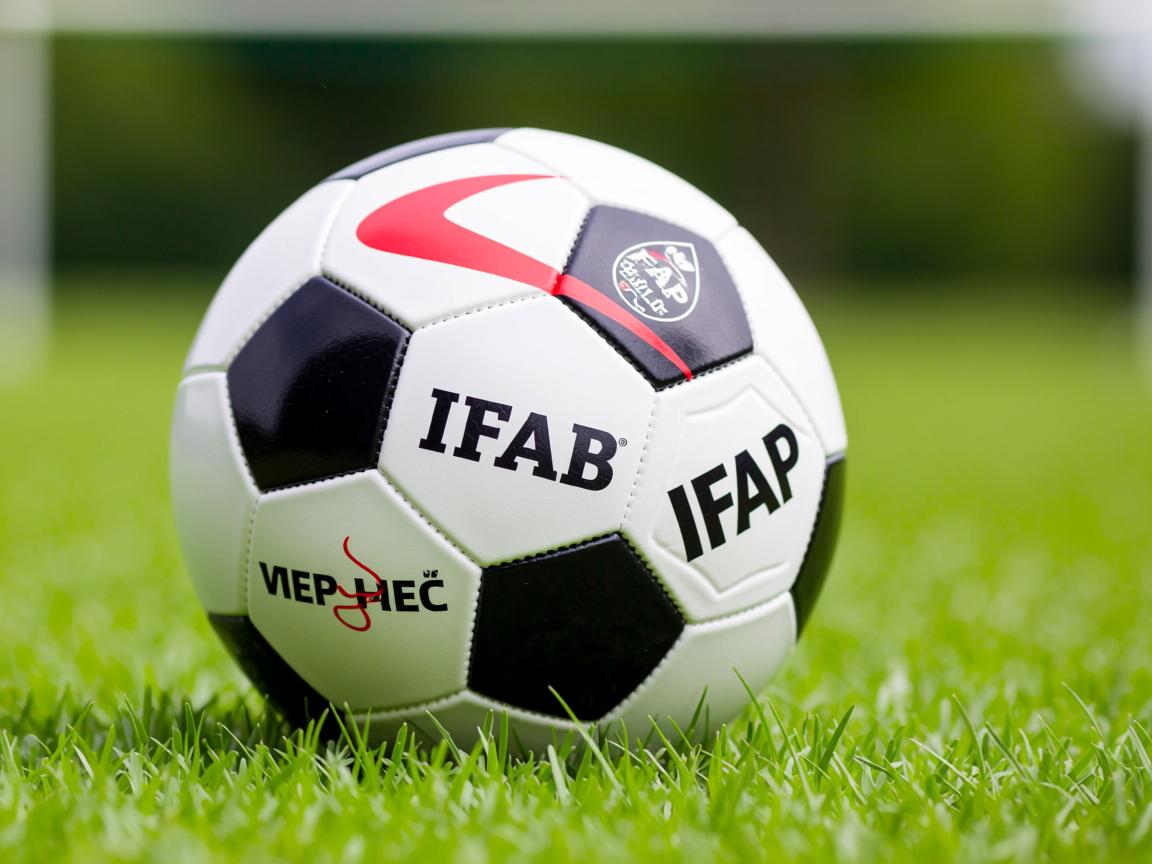 开云ky官网-斯洛伐克队提前晋级下一轮，领跑小组