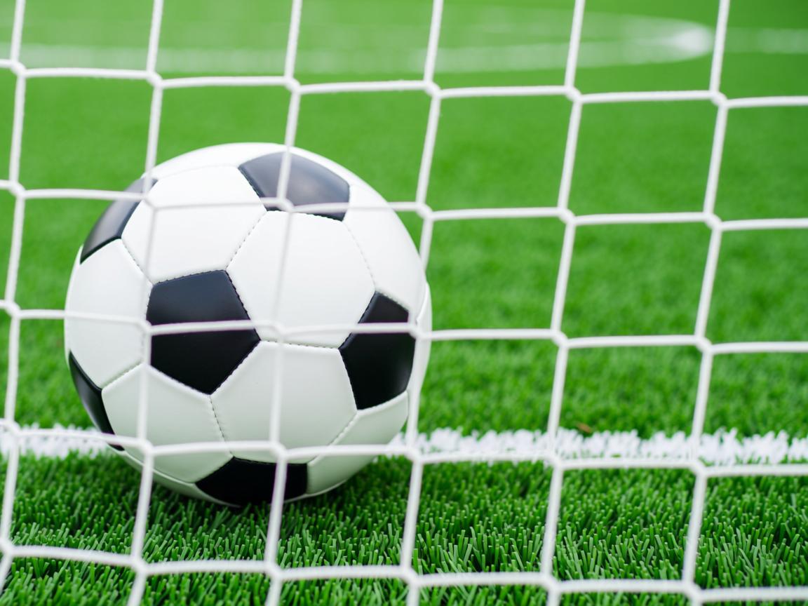 开云在线入口-法兰克福队战胜对手，取得分  第3张