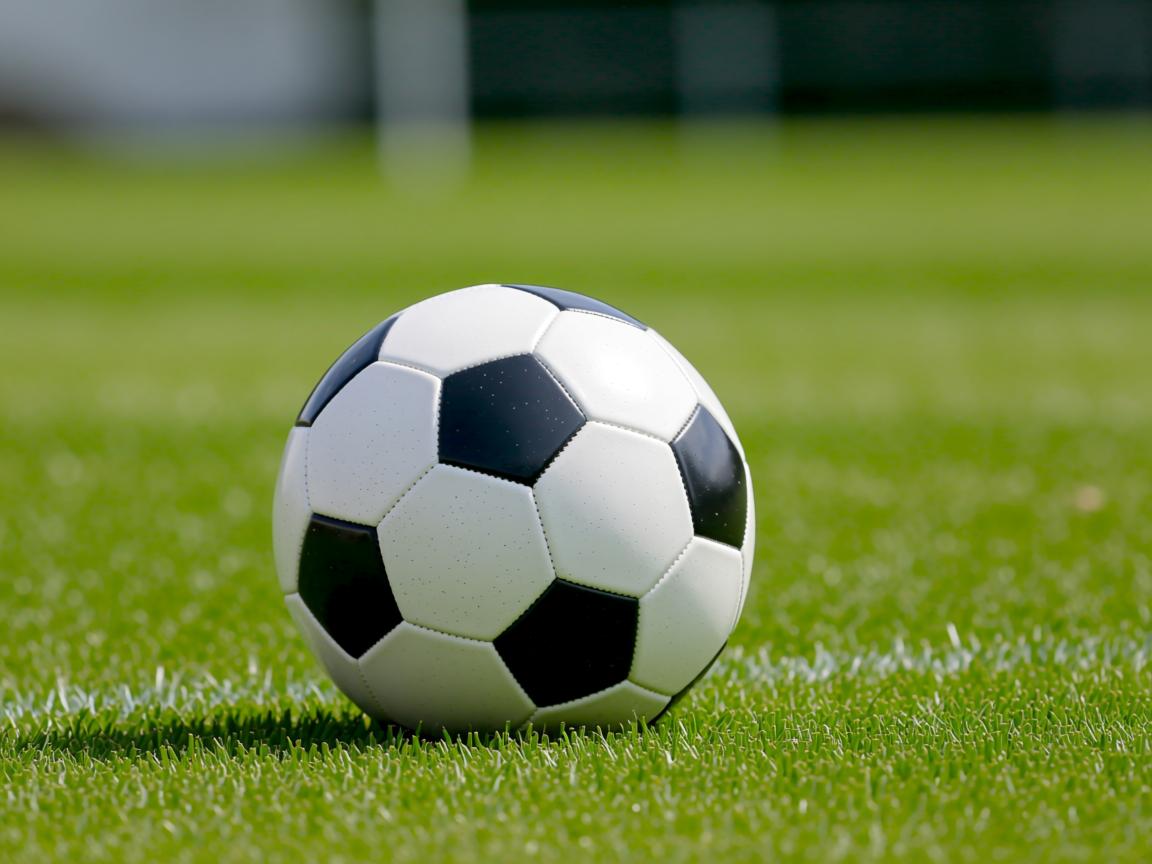 开云在线入口-南特主场想避巴斯蒂亚，保级遇挫  第2张