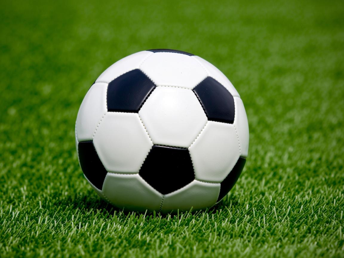 开云体育app在线-加拿大选手转身技术创新点，加拿大选手失误