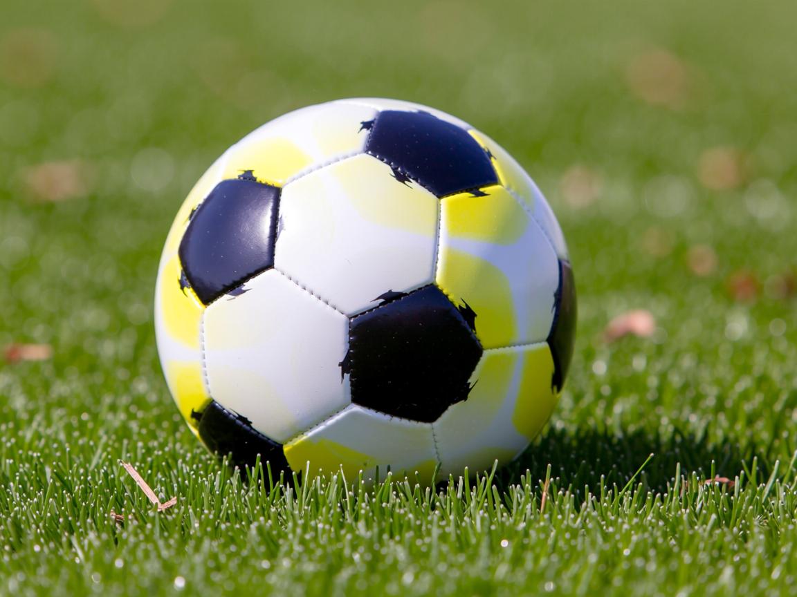 开云体育下载-女子中距离自由泳格局美队主导，女子4×200米自由泳接力美国队  第2张