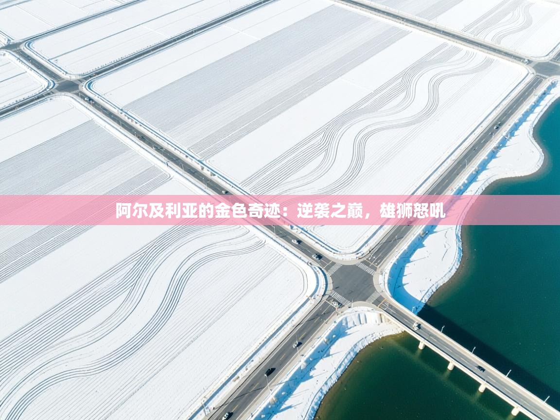 阿尔及利亚的金色奇迹：逆袭之巅，雄狮怒吼  第2张