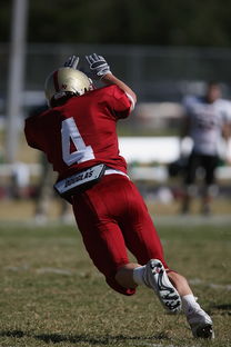开云体育网址-五大联赛球队是否有意控制比赛中界外球发球节奏,五大联赛允许几名外援 第3张